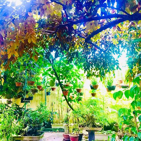 Pebble Homestay Hoi An Eksteriør bilde