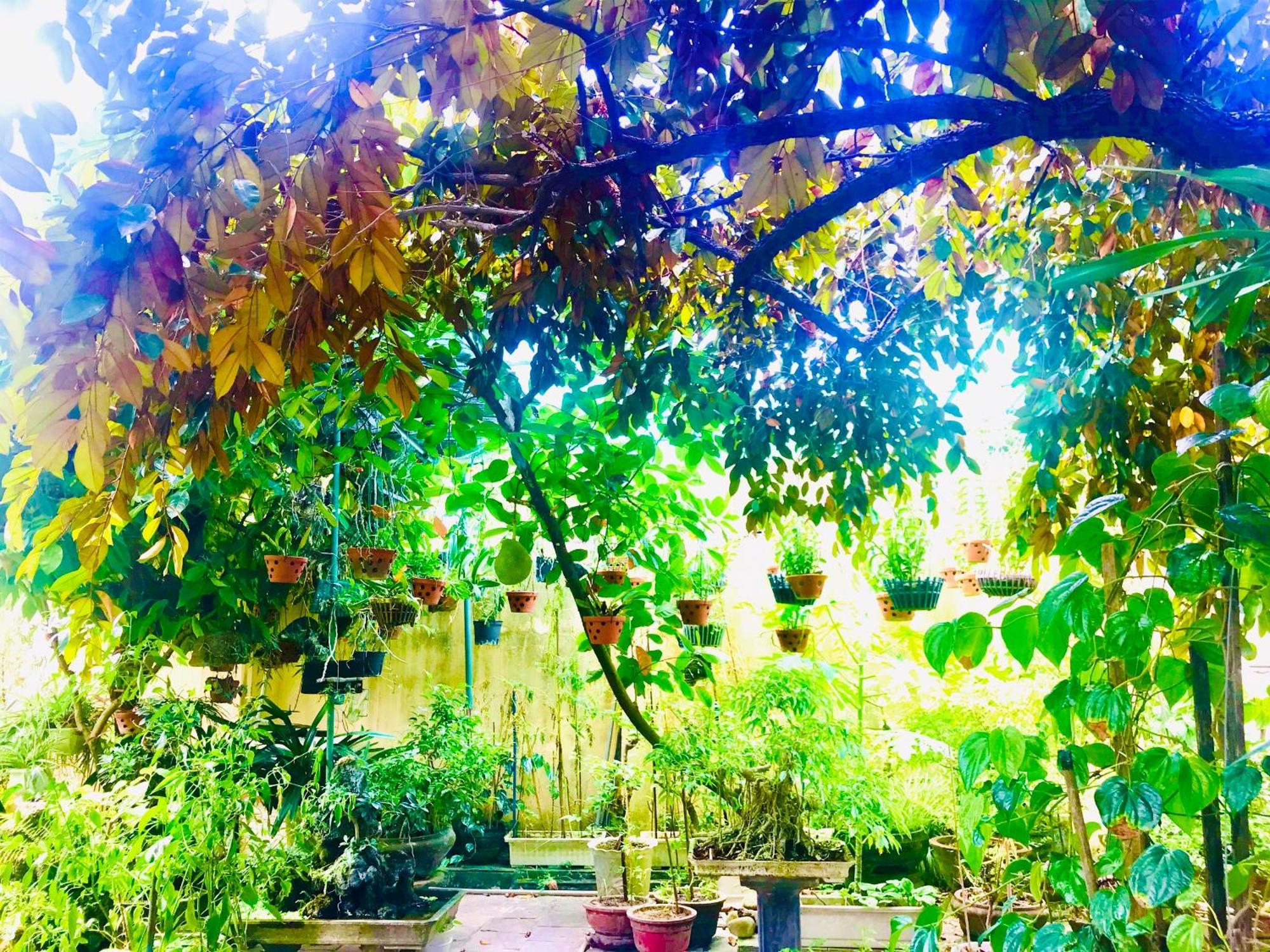 Pebble Homestay Hoi An Eksteriør bilde