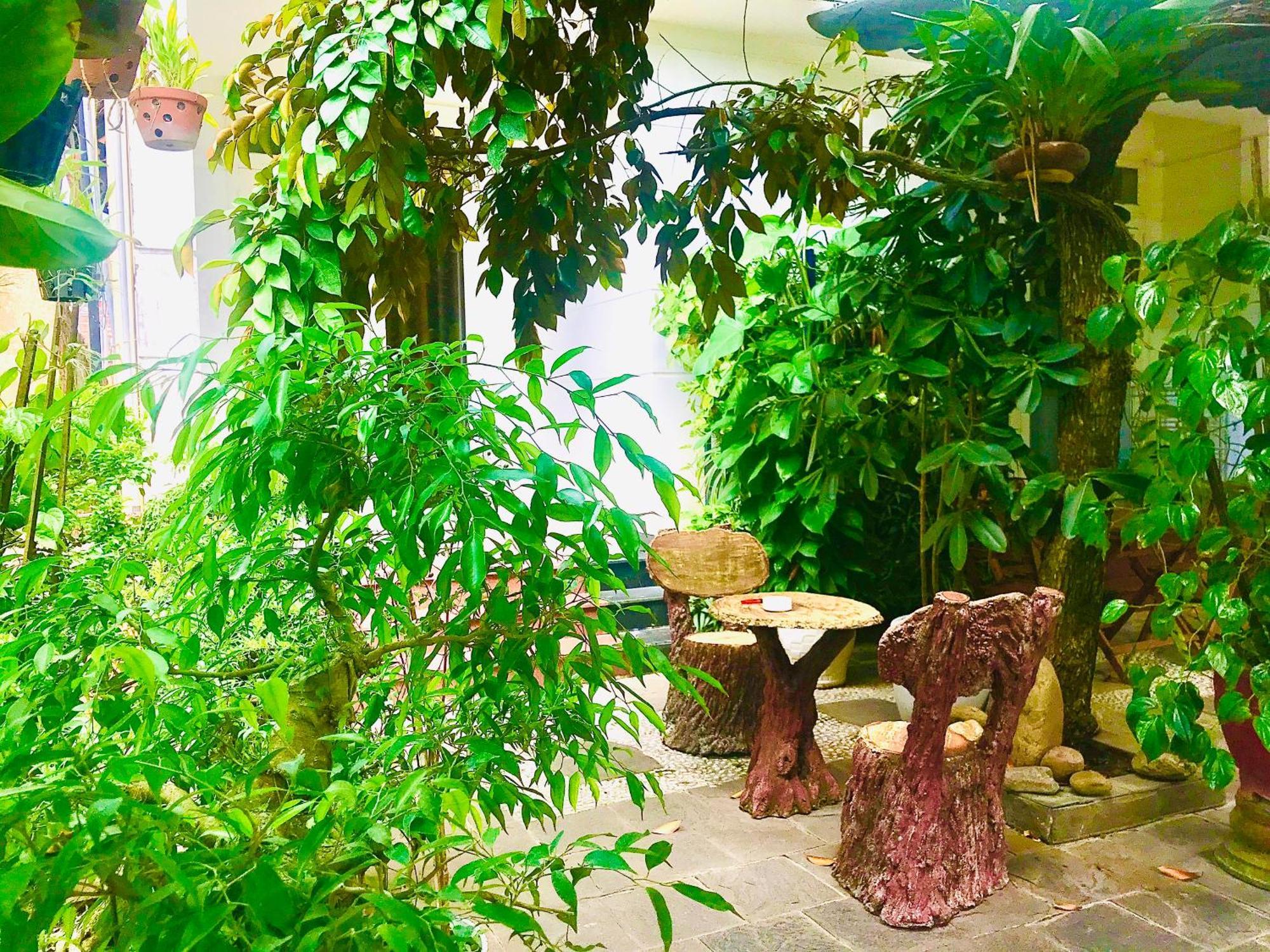 Pebble Homestay Hoi An Eksteriør bilde